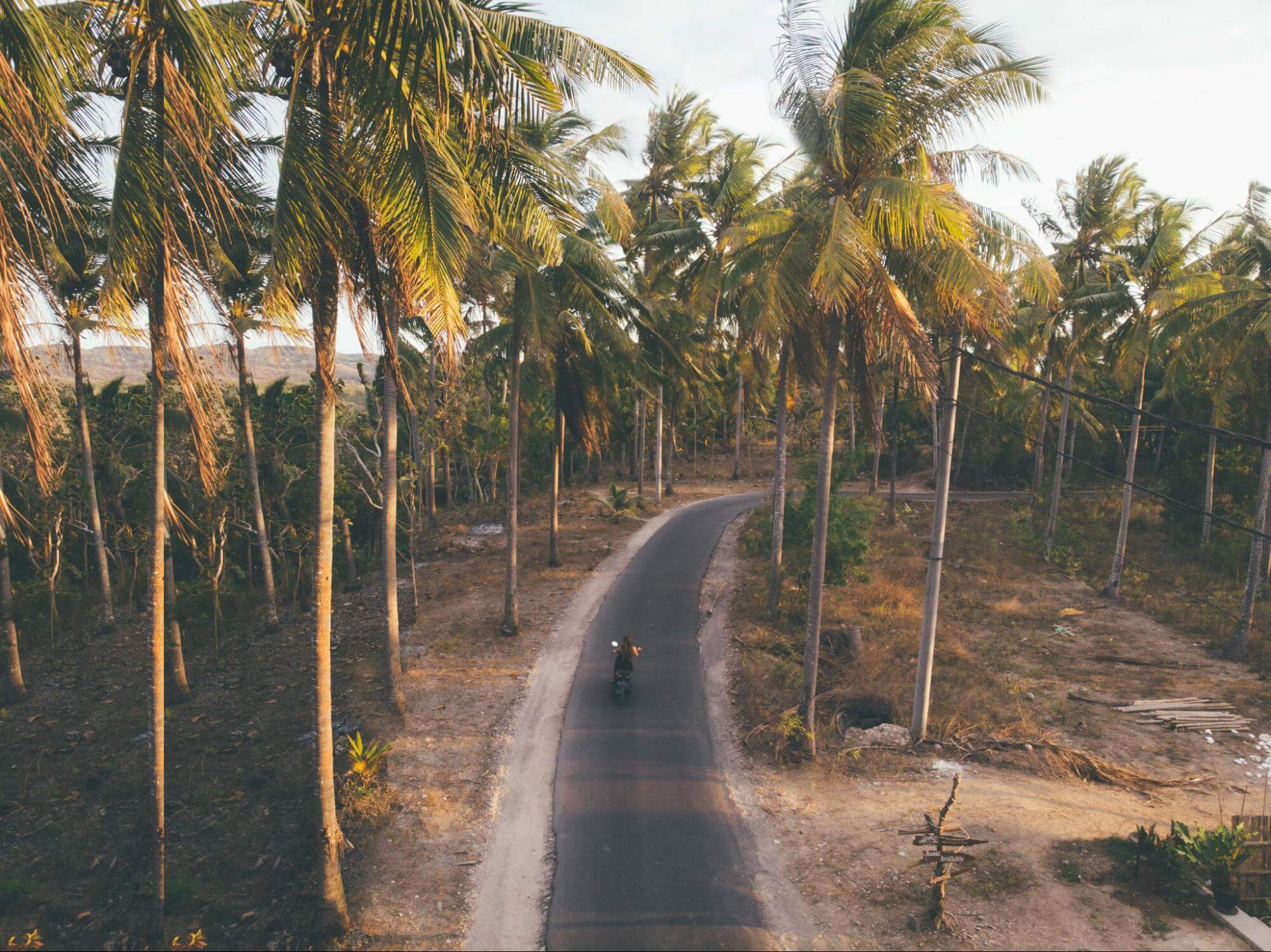 uma estrada simples e curva está perpassando coqueiros, aparentemente em uma região de praia, com um chão de areia. Nesse caminho, uma pessoa está andando em sua moto de viagem