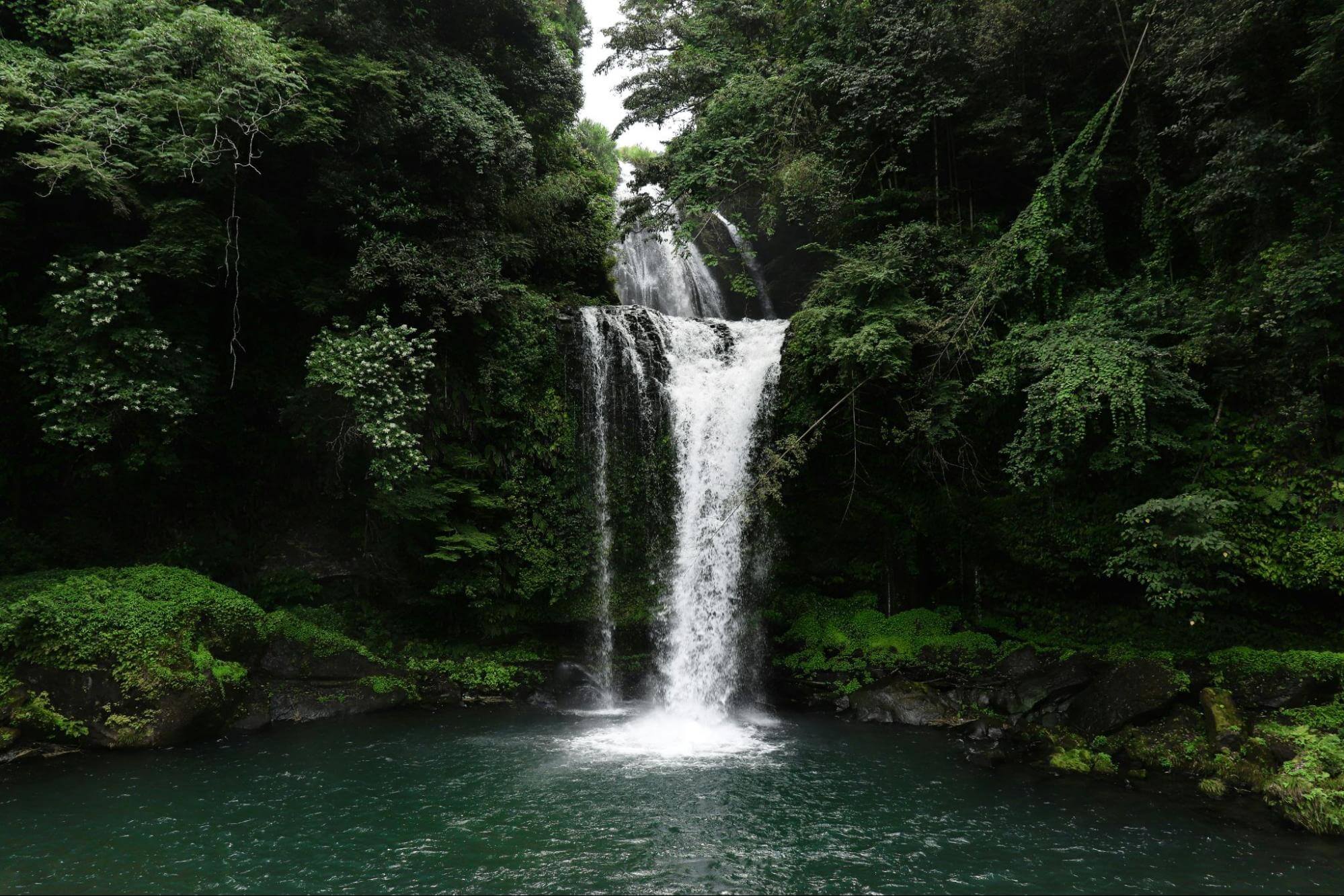 uma cachoeira que deságua em um pequeno lago está cercada de matas verde-escuras