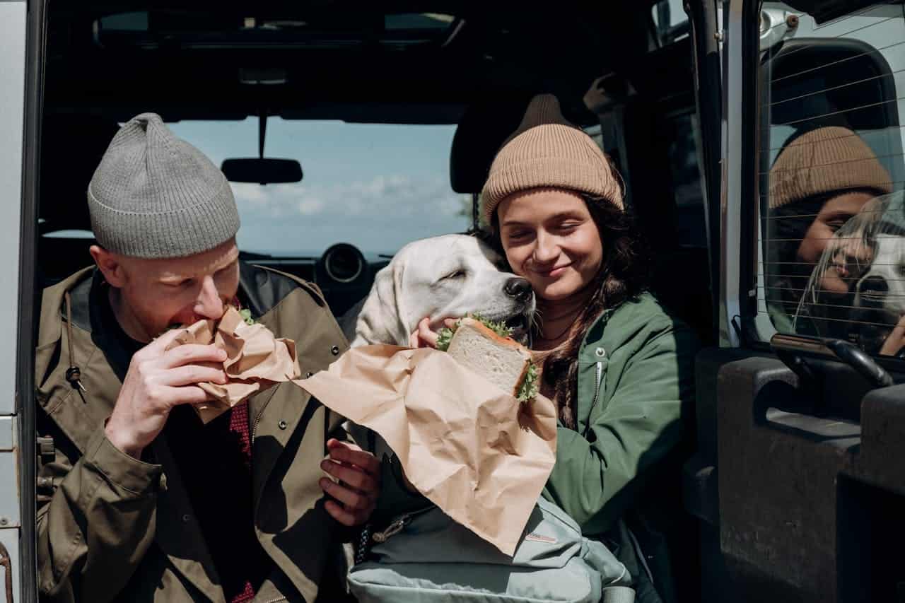 Homem e mulher com toucas de lã comendo sanduíches ao lado de um cachorro, todos dentro de um carro, em clima aconchegante.