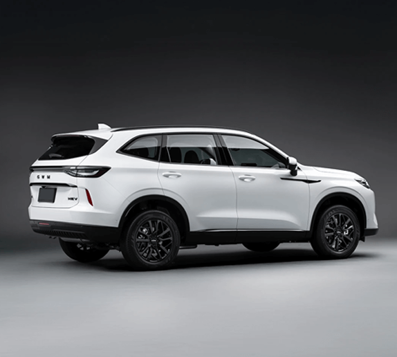 Imagem do GWM Haval H6
